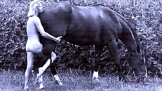Vintage Knockout And Dramatize expunge Carnal